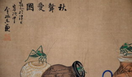 真人牲交视频,背后真相与伦理争议